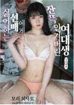 编辑部旧事 年代剧在线看